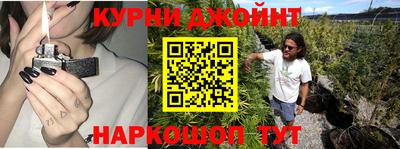 стафф Краснознаменск