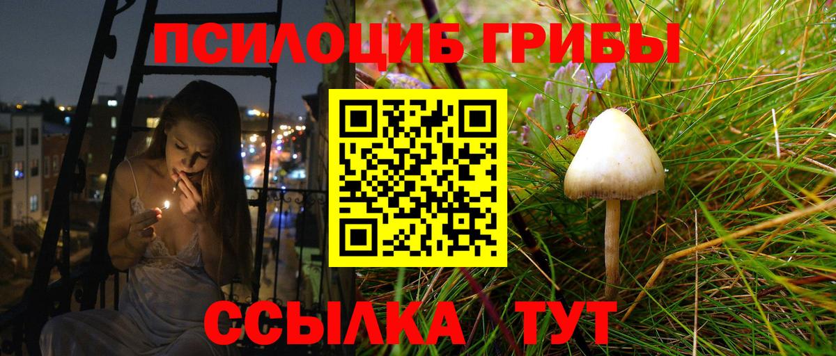 Псилоцибиновые грибы прущие грибы Ивантеевка